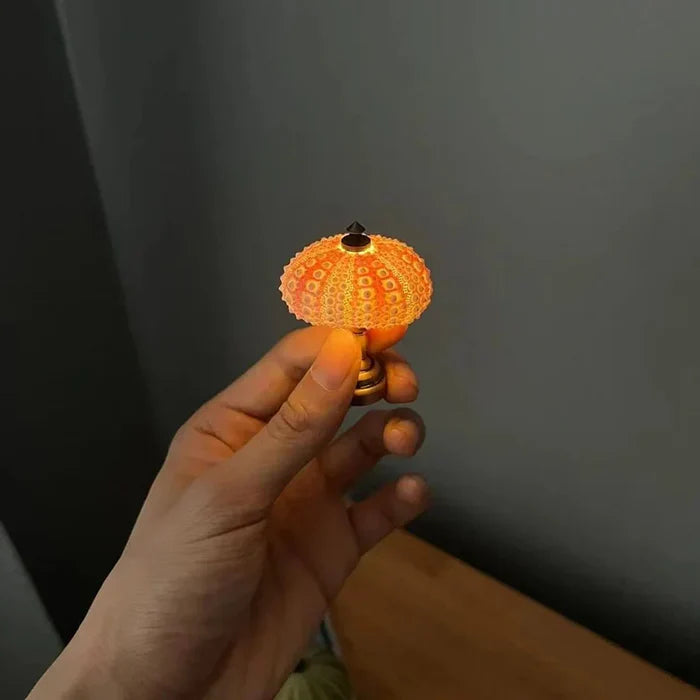 Diy - seeigel-nachtlicht