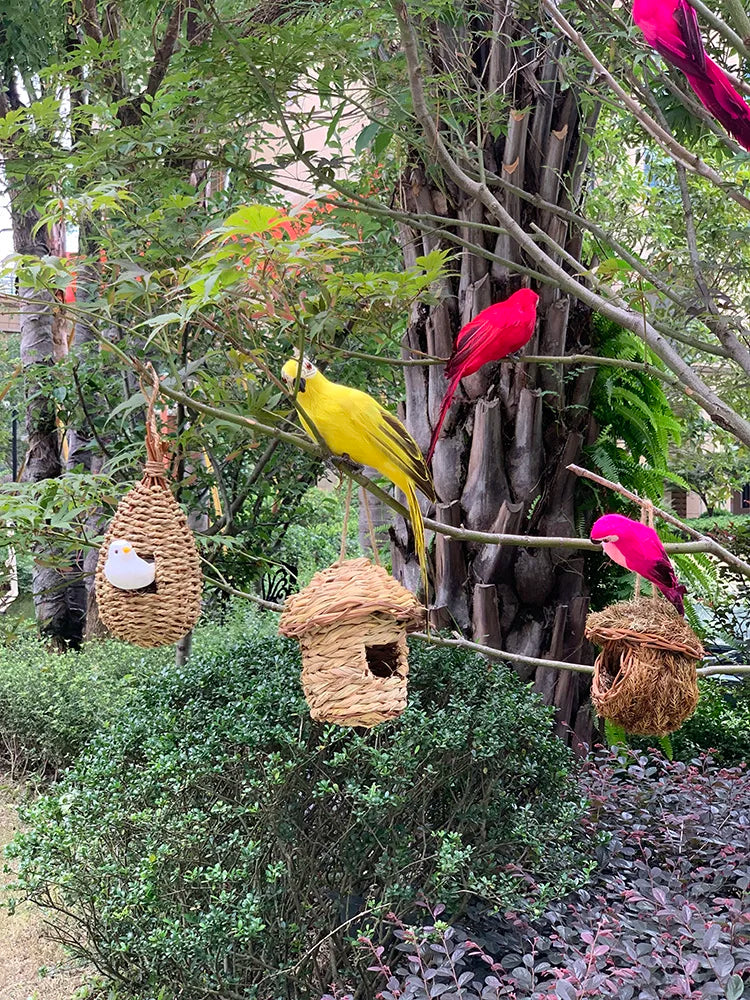 Tropicperch – dekoration für den papageiengarten