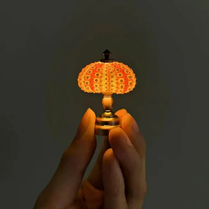 Diy - seeigel-nachtlicht