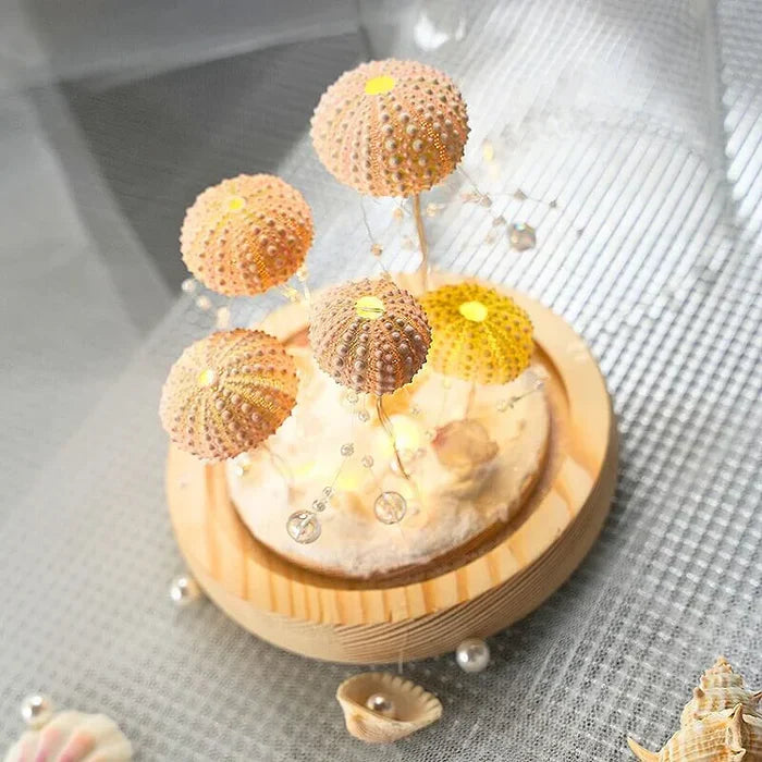 Diy - seeigel-nachtlicht