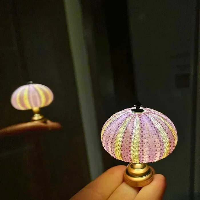 Diy - seeigel-nachtlicht