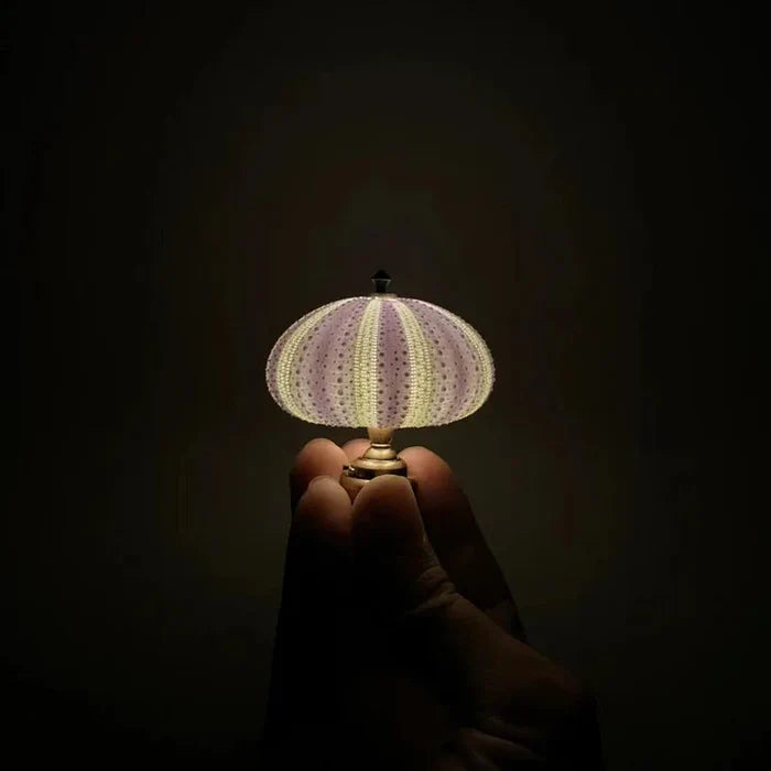 Diy - seeigel-nachtlicht