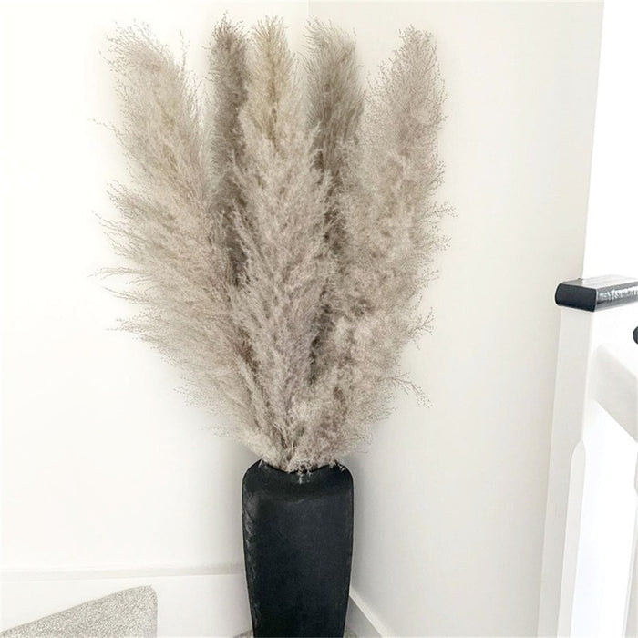 Featherfawn - pampas getrocknete blumen