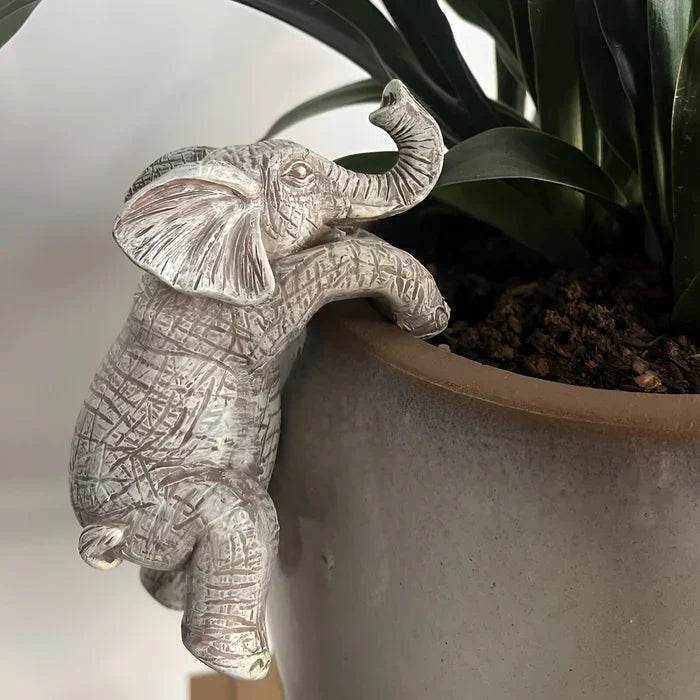 Harz Elefant topf hänger - blumentopf kleiderbügel elefant - hängende elefanten dekoration