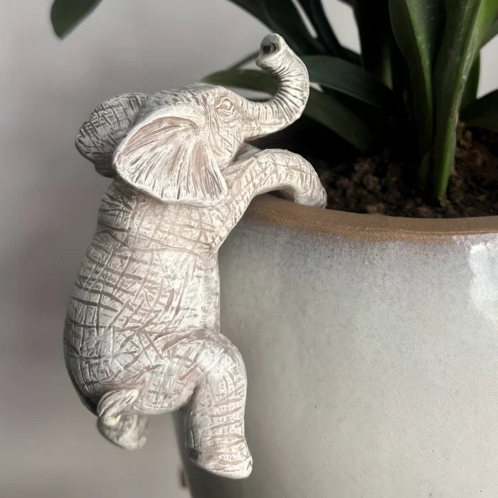 Harz Elefant topf hänger - blumentopf kleiderbügel elefant - hängende elefanten dekoration