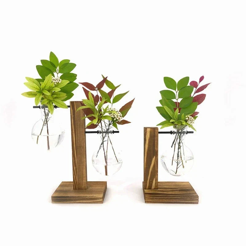 Verdantvistas – hydrokultur-pflanzenvase für terrarien